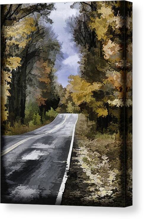 Autumn Country Road Canvas Print featuring the photograph Fall Painted Country Road by Thomas Young