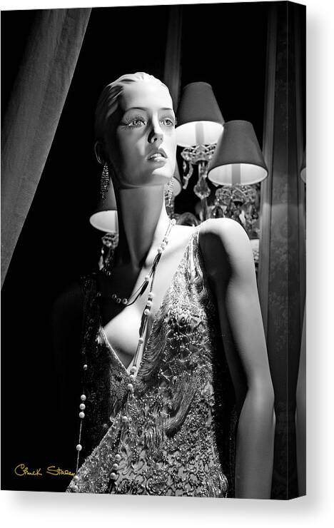 Model Canvas Print featuring the photograph Fashionable Lady by Chuck Staley