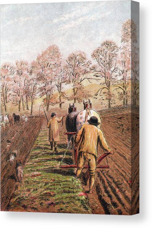 Horse Canvas Print featuring the digital art February - Ploughing A Field With Horses by Whitemay