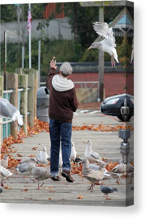 Feeding Seagulls And Pigeons Canvas Print featuring the photograph Feeding Time by E Faithe Lester