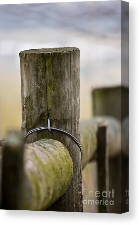 Post Canvas Print featuring the photograph Fence Post by Kerri Farley