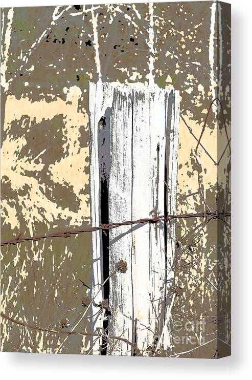 Country Canvas Print featuring the photograph Fenced by Marsha Young
