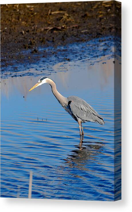 Edited Canvas Print featuring the photograph Fishing by Gary Wightman