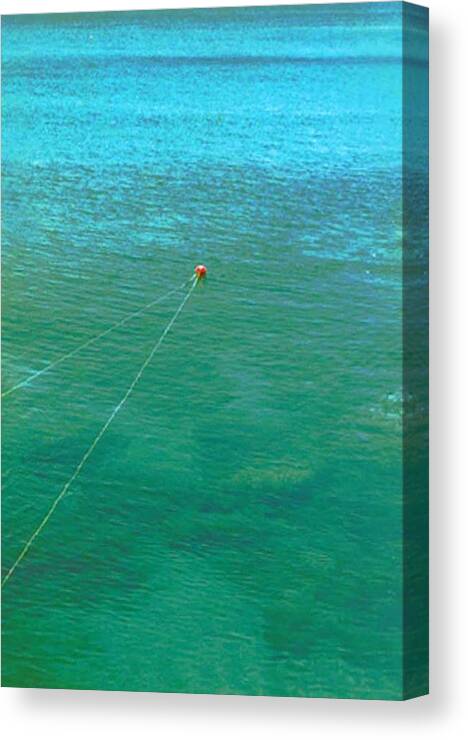 Abstact Float In Water Canvas Print featuring the photograph Focus by Edward Shmunes