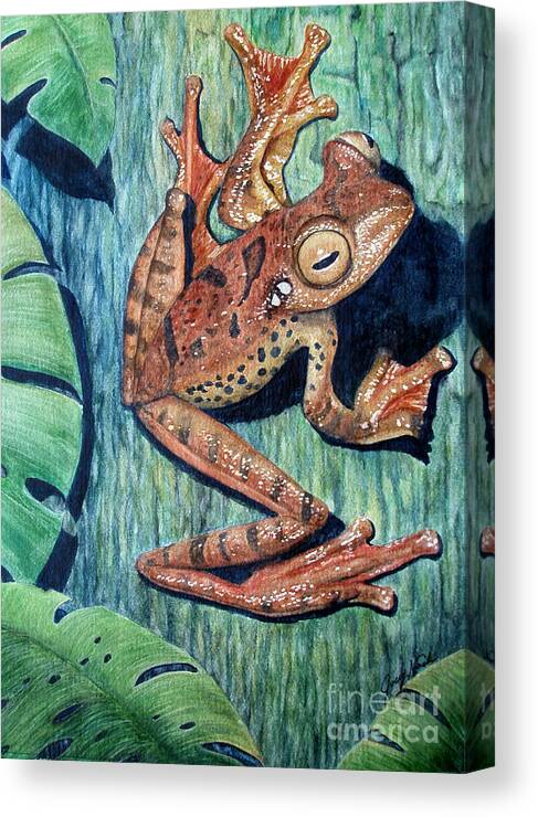 Tree Frog Canvas Print featuring the painting Freckles Tree Frog by Joey Nash