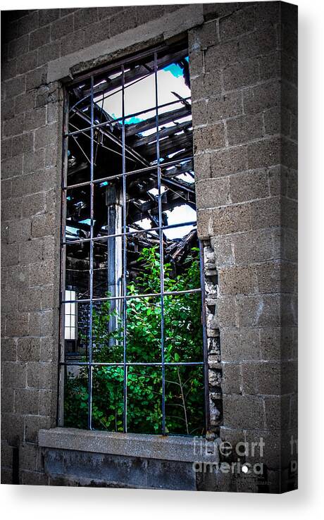Window Canvas Print featuring the photograph From the Outside Looking In by Grace Grogan