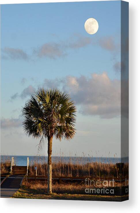 Scenic Canvas Print featuring the photograph Full Moon At Myrtle Beach State Park by Kathy Baccari
