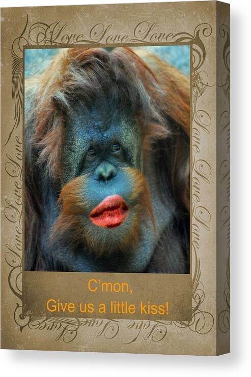 Gorilla Canvas Print featuring the photograph Give us a little kiss by Paula Ayers