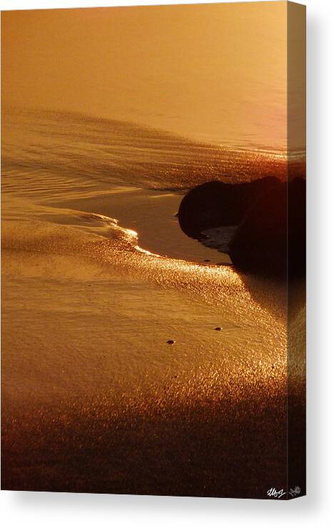 Gold Canvas Print featuring the photograph Gold by Laura Hol Art