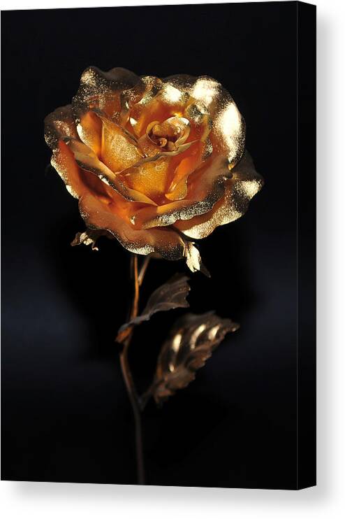 Gold Canvas Print featuring the photograph Golden Rose by Dragan Kudjerski