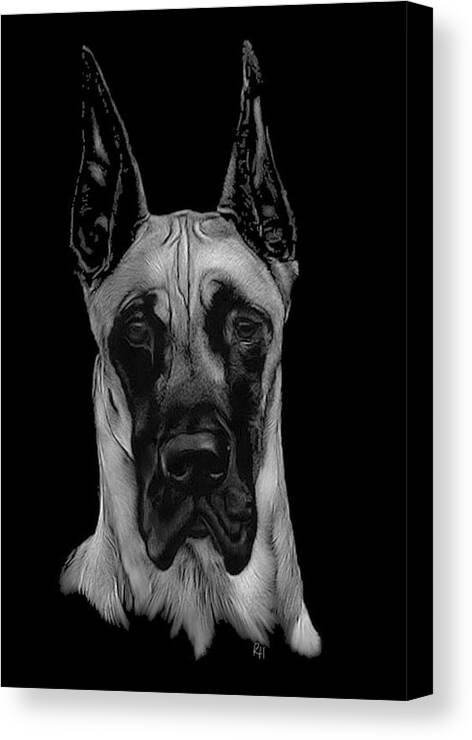 Great Dane Canvas Print featuring the drawing Great Dane by Rachel Bochnia