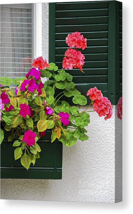 House Canvas Print featuring the photograph Green shutters by Elena Elisseeva