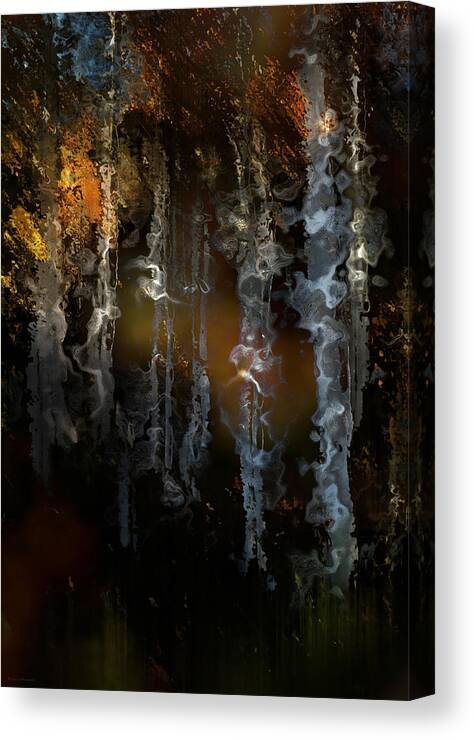 Haunted Forest Canvas Print featuring the photograph Haunted Forest by Barbara D Richards