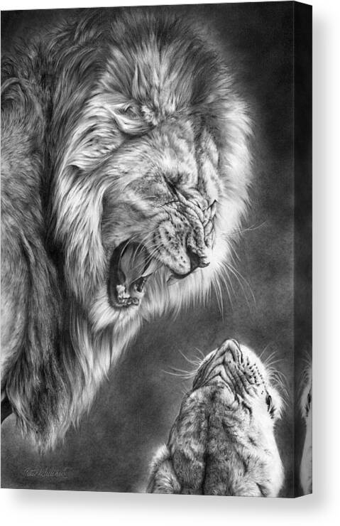 Lion Canvas Print featuring the drawing Heat Of The Night by Peter Williams