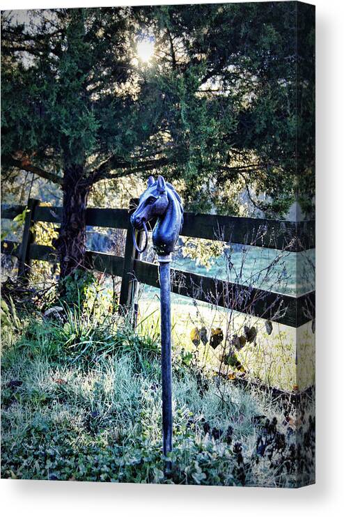 Hitching Post Canvas Print featuring the photograph Hitching Post by Cricket Hackmann