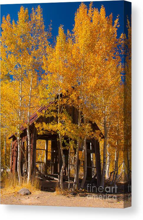 Landscape Canvas Print featuring the photograph Hushed Home by Charles Garcia