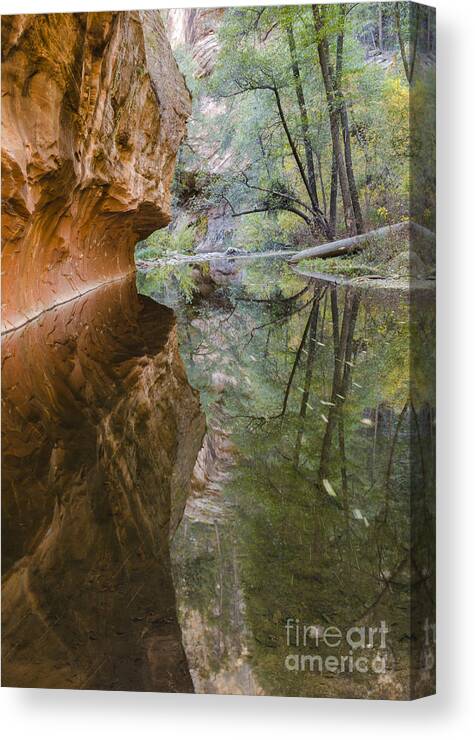 West Fork Canvas Print featuring the photograph Iconic by Tamara Becker