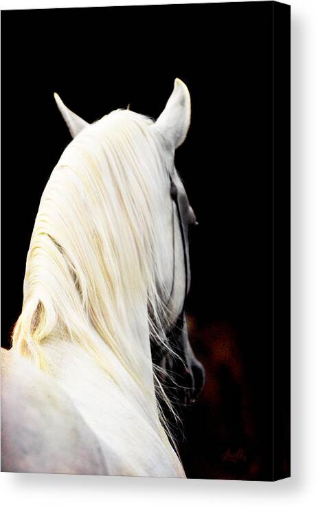 Horse Canvas Print featuring the digital art I'm Listening by Janice OConnor