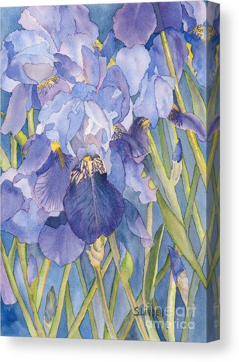 Flora - Iris - Purple Iris Canvas Print featuring the painting Iris III by Sandy Linden