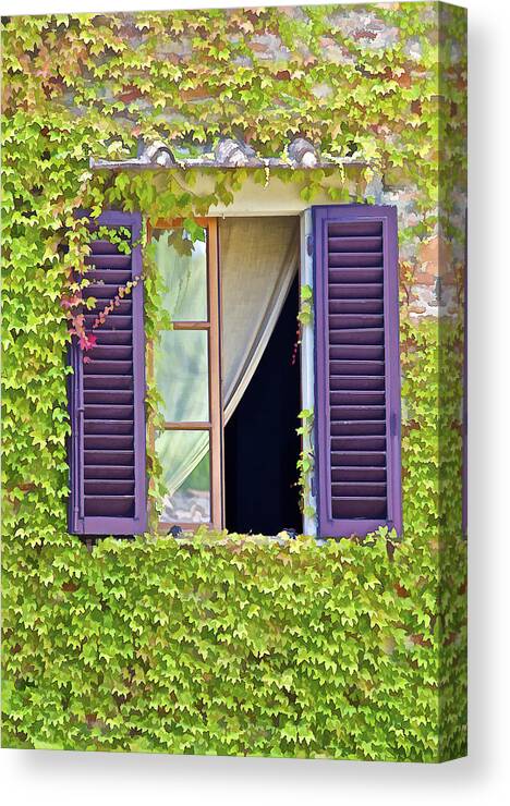 Art Canvas Print featuring the photograph Ivy Covered Window of Tuscany by David Letts