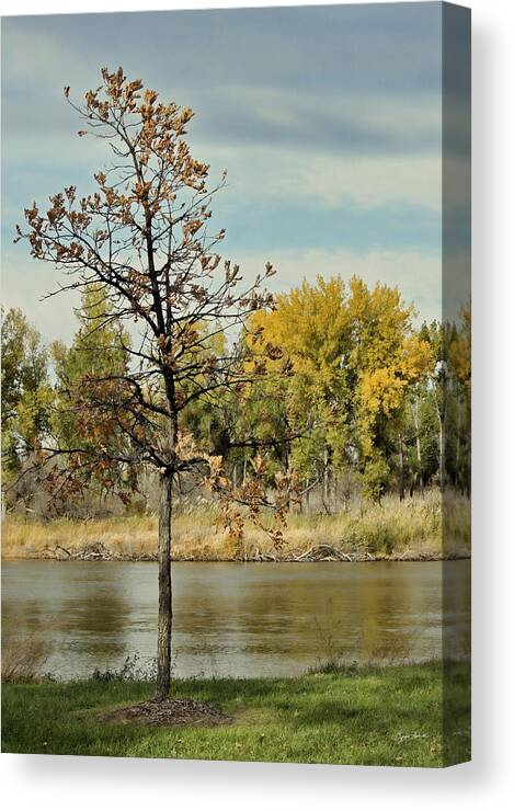 River Canvas Print featuring the photograph Little Oak by Sylvia Thornton