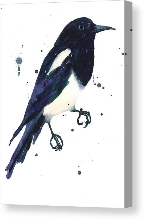 Magpie Painting Canvas Print featuring the painting Magpie Painting by Alison Fennell