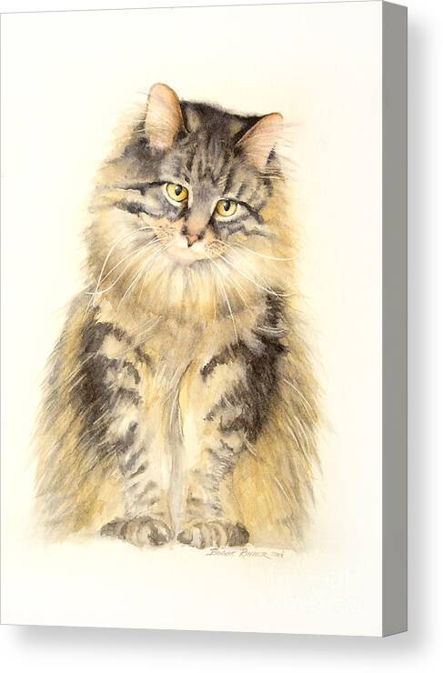 Maine Coon Cat Canvas Print featuring the painting Maine Coon Cat by Bonnie Rinier