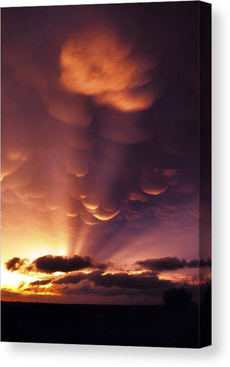 Mammatus Canvas Print featuring the photograph Mammatus Sunset over Colorado by Jason Politte