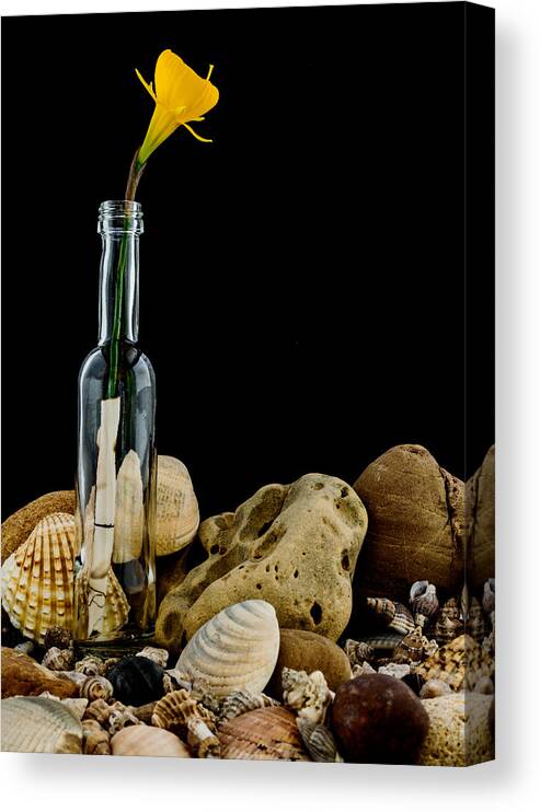 Flower Canvas Print featuring the photograph Message of Love II by Marco Oliveira