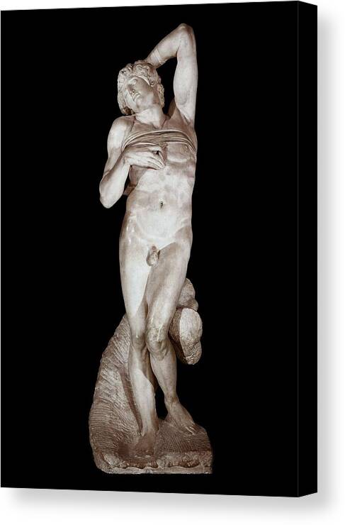 Vertical Canvas Print featuring the photograph Michelangelo 1475-1564. Dying Slave by Everett