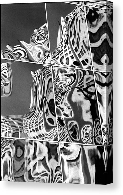 B&w Gallery Canvas Print featuring the photograph Mosaic by Steven Huszar