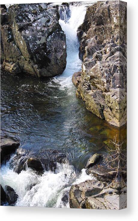 Water Canvas Print featuring the photograph Motion by Laura Dodd