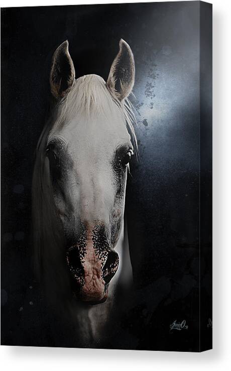Horse Canvas Print featuring the digital art Mount of Kings by Janice OConnor