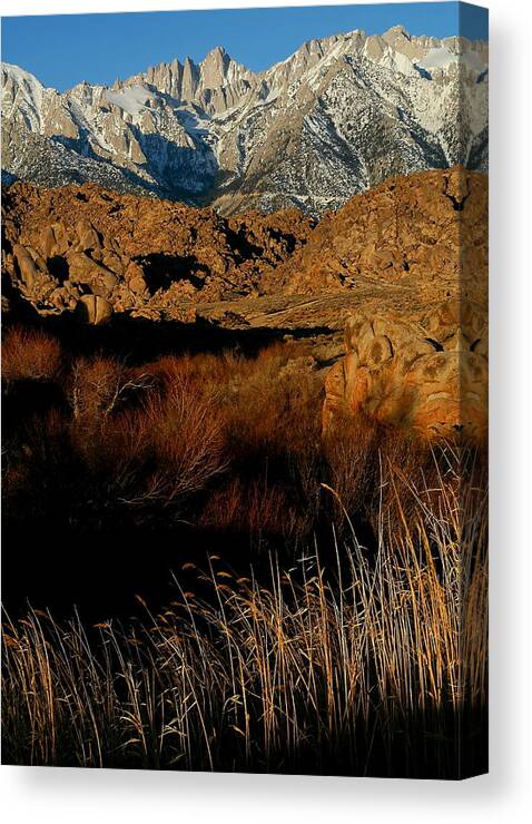 Mount Canvas Print featuring the photograph Mount Whitney from the Alabama Hills in California by Jetson Nguyen