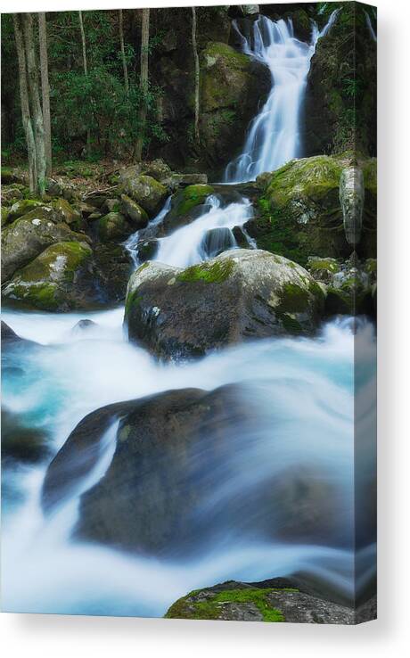 Great Smoky Mountains Canvas Print featuring the photograph Mouse Creek Falls in Colour by Photography By Sai