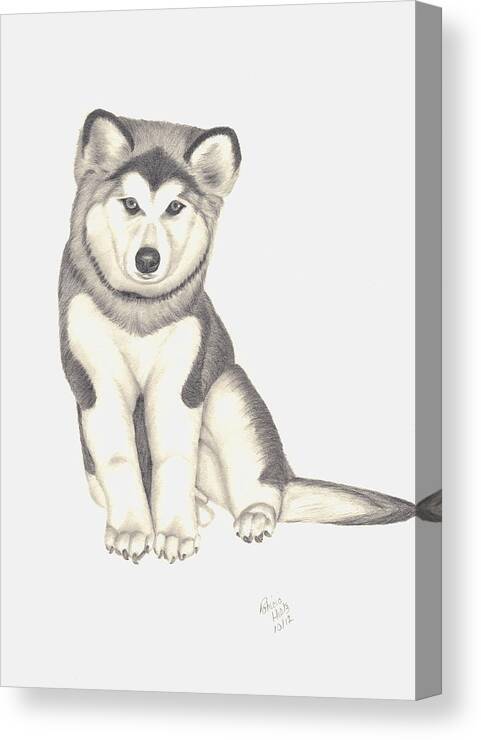 Husky Canvas Print featuring the drawing My Husky Puppy-Misty by Patricia Hiltz