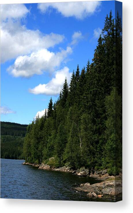 Landscape Threes Blue Sky Sunn Day Lake Waterfront Scandinavia Europe Outdoors Mother Nature Norway Summer Canvas Print featuring the photograph National Park by Jeanette Rode Dybdahl