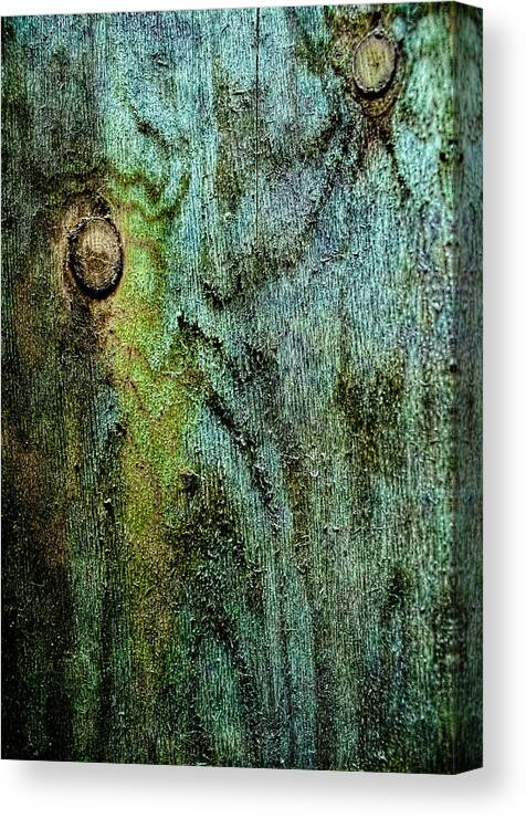 Wood Canvas Print featuring the photograph Natural Interconnections by Sandra Pena de Ortiz