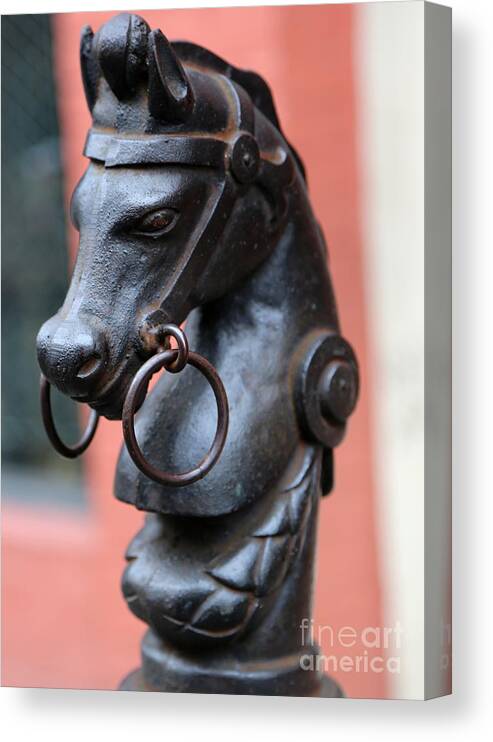 New Orleans Canvas Print featuring the photograph New Orleans Horse Tether by Carol Groenen