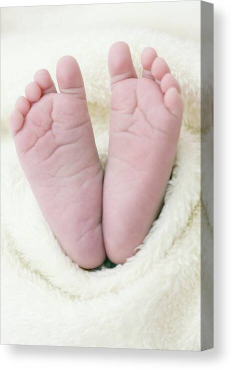 Baby Canvas Print featuring the photograph Newborn Baby's Feet by Ian Hooton/science Photo Library