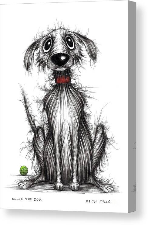 Ollie The Dog Canvas Print featuring the drawing Ollie the dog by Keith Mills