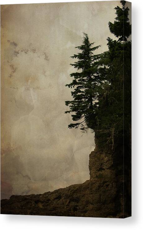 Conifers Canvas Print featuring the photograph On the Edge by Marilyn Wilson
