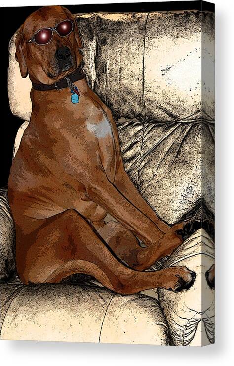 Rhodesian Ridgeback Canvas Print featuring the photograph One Cool Dog by Mim White