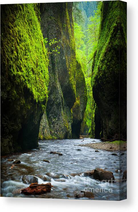 America Canvas Print featuring the photograph Oneonta River Gorge by Inge Johnsson