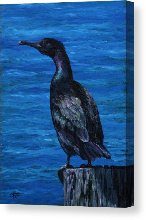 Bird Canvas Print featuring the painting Pelagic Cormorant by Crista Forest