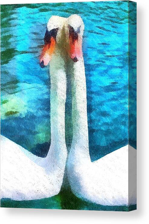 Swans Canvas Print featuring the photograph Pen and Cob by Amy G Taylor