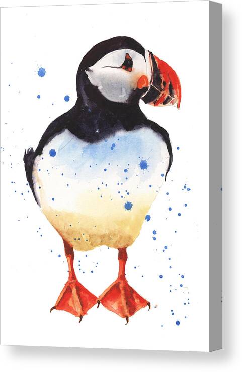 Puffin Canvas Print featuring the painting Puffin Watercolor by Alison Fennell