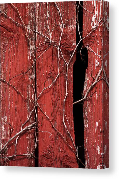 Red Barn Canvas Print featuring the photograph Red Barn Wood with Dried Vines by Rebecca Sherman