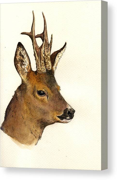 Deer Canvas Print featuring the painting Roe deer head study by Juan Bosco
