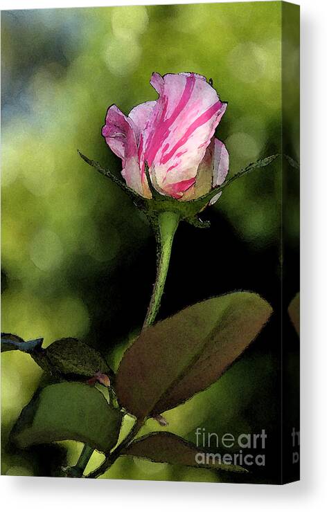 Floral Canvas Print featuring the digital art Rose Bud by Kirt Tisdale